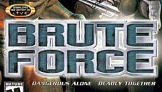 More information about "Brute Force"